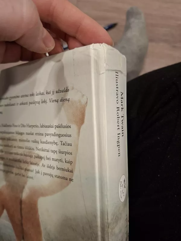 Tomo Sojerio nuotykiai - Mark Twain, knyga 3