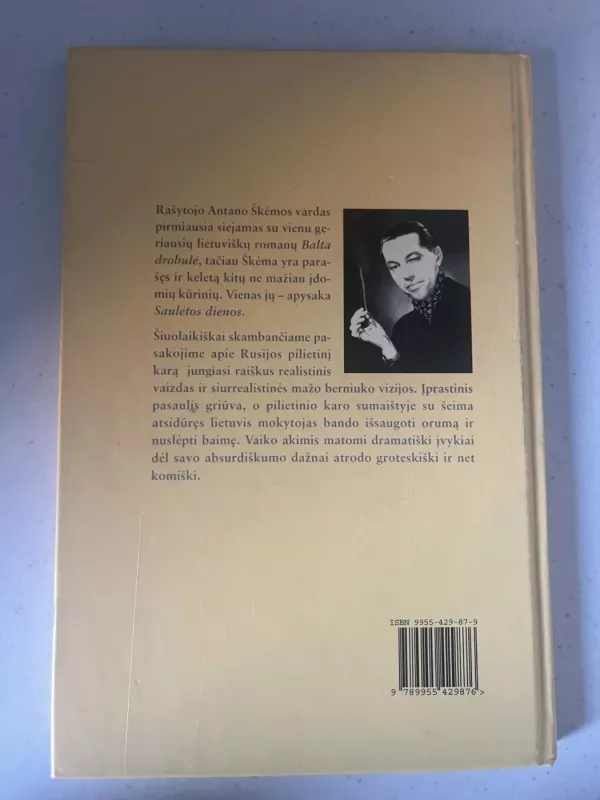 Saulėtos dienos - Antanas Škėma, knyga 3