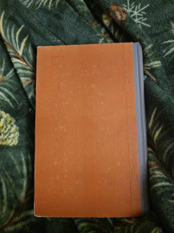 Mejeris Ezofovičius - Eliza Ožeskienė, knyga 3