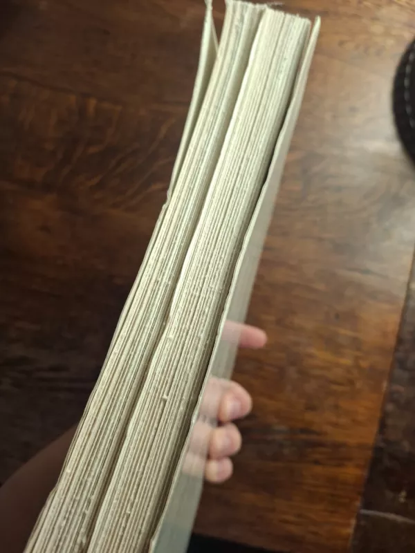 Valančiaus šviesa už marių - Juozas Eretas, knyga 5