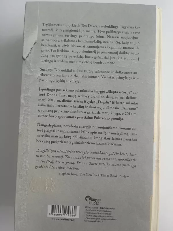 Dagilis - Donna Tartt, knyga 3