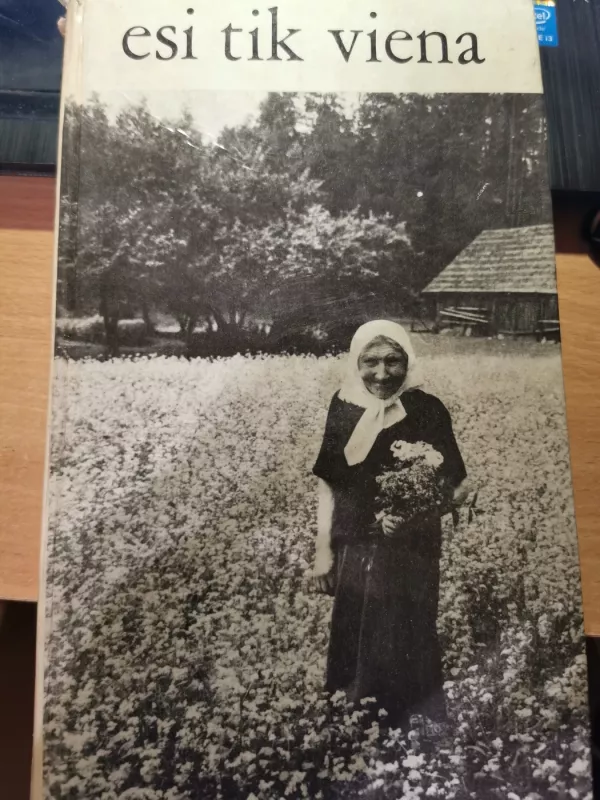 Esi tik viena - D. Venclovaitė, knyga 2