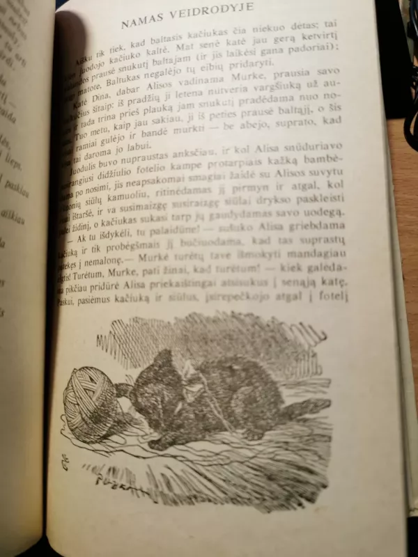 Alisa Stebuklų šalyje ir Veidrodžių karalystėje - Luisas Kerolis, knyga 5
