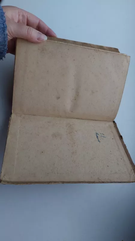 Piūtis - Galina Nikolajeva, knyga 4