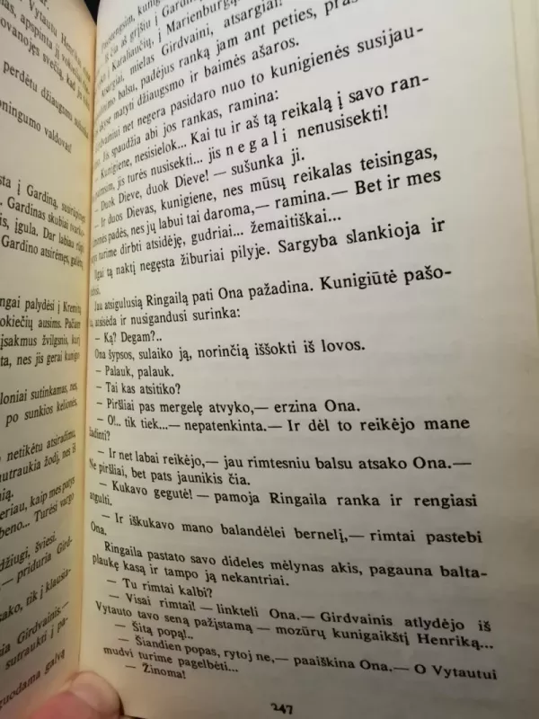 Magnus Dux - Kazys Puida, knyga 6