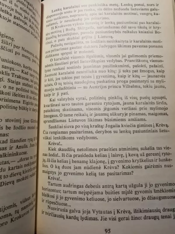 Magnus Dux - Kazys Puida, knyga 4