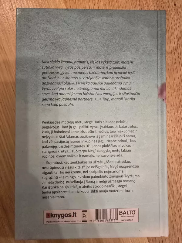 Nebe ta moteris - Camille Pagan, knyga 3