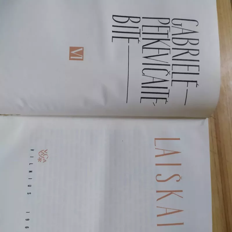 Gabrielė Petkevičaitė Bitė / Raštai I - VI t. - Gabrielė Petkevičaitė Bitė, knyga 3