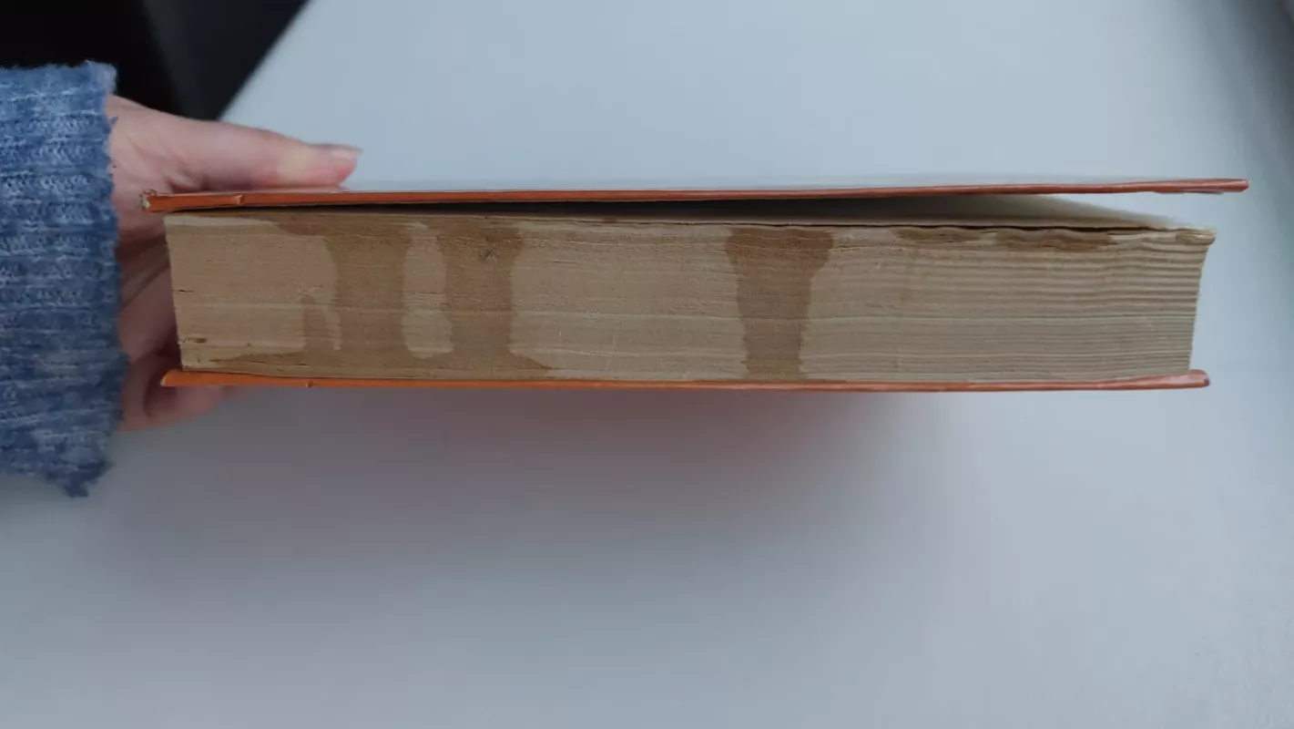 Karalienė Margo - Aleksandras Diuma, knyga 4