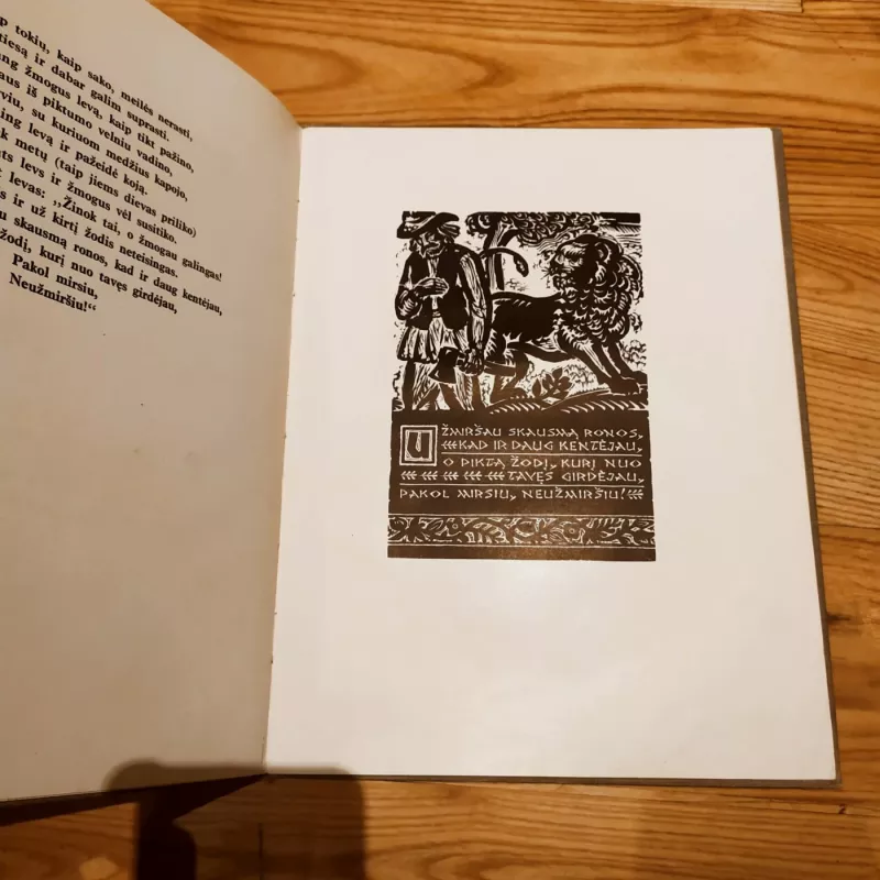 Pasakėčios - Simonas Stanevičius, knyga 3