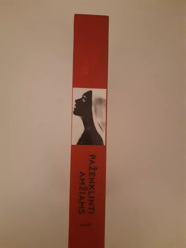 Paženklinti amžiams - Emelie Schepp, knyga 4