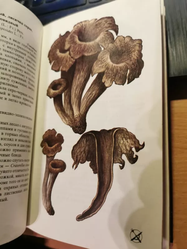 Griby - Aurel Dermek, knyga 5