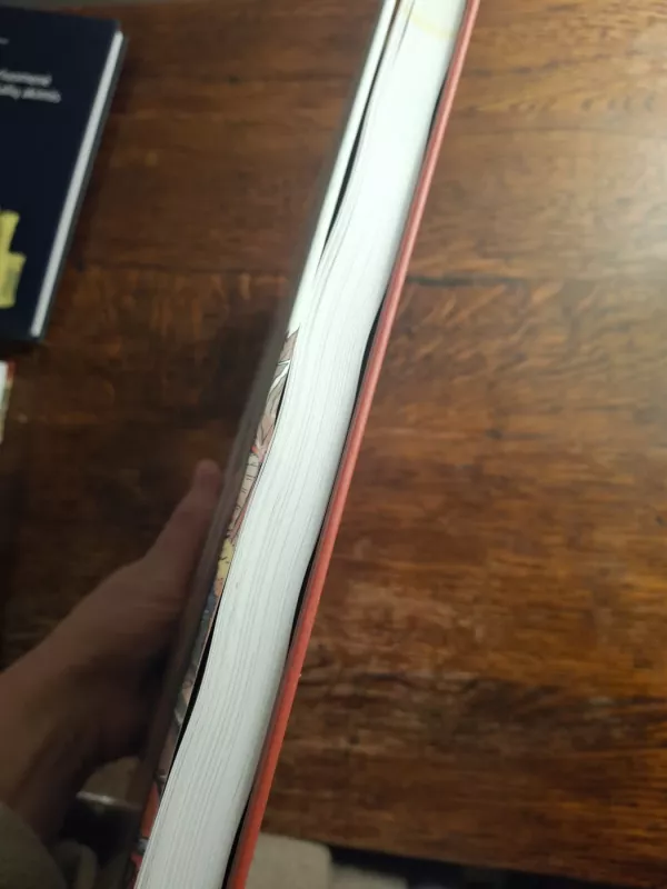 Lietuvos istorija Paaugusių žmonių knyga I dalis - Alfredas Bumblauskas, Mangirdas Bumblauskas, knyga 5