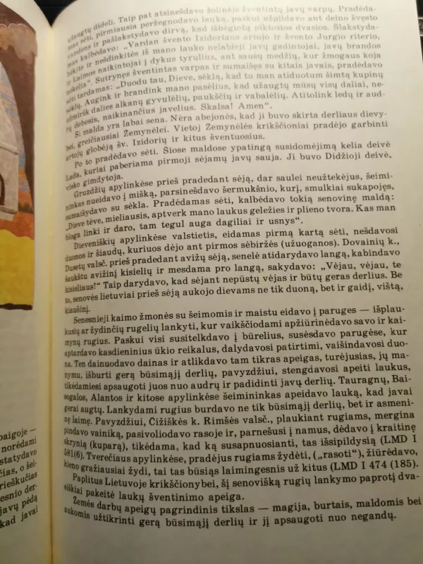 Duona lietuvių buityje ir papročiuose - Pranė Dundulienė, knyga 6