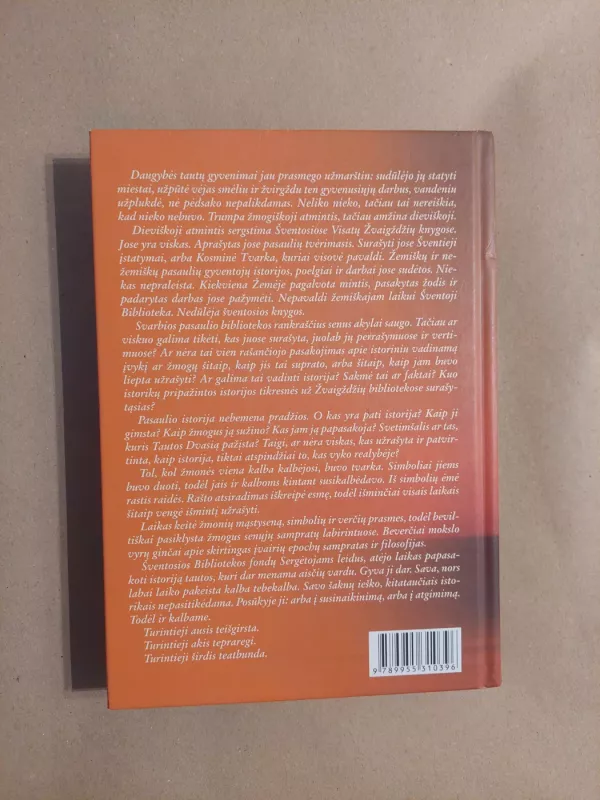 Sakmė apie aisčius - Audronė Ilgevičienė, knyga 4