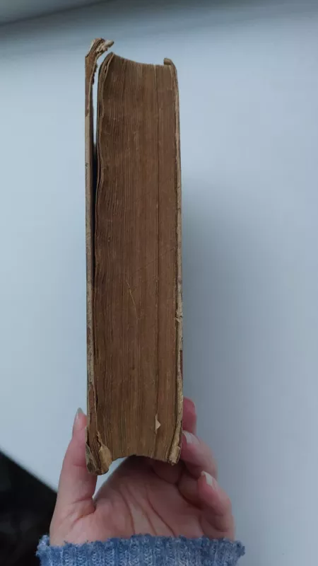 Piūtis - Galina Nikolajeva, knyga 5