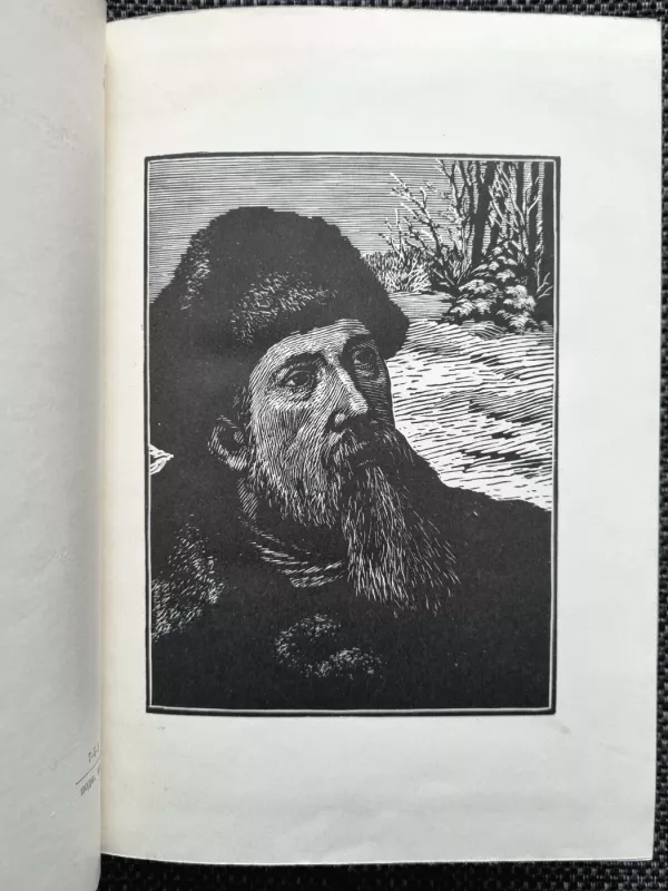 Stihotvorenija. Poèmy - Nikolaj Nekrasov, knyga 3