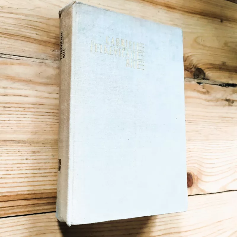 Gabrielė Petkevičaitė Bitė / IV t. Pasikalbėjimai - Gabrielė Petkevičaitė Bitė, knyga 2