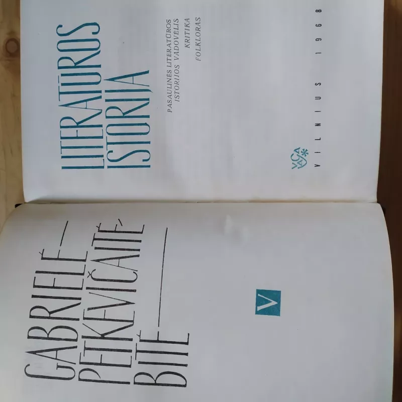 Gabrielė Petkevičaitė Bitė / V t. Literatūros istorija - Gabrielė Petkevičaitė Bitė, knyga 3