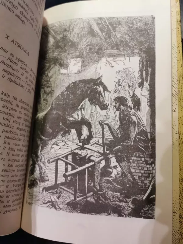 Guliverio kelionės - Džonatanas Sviftas, knyga 4