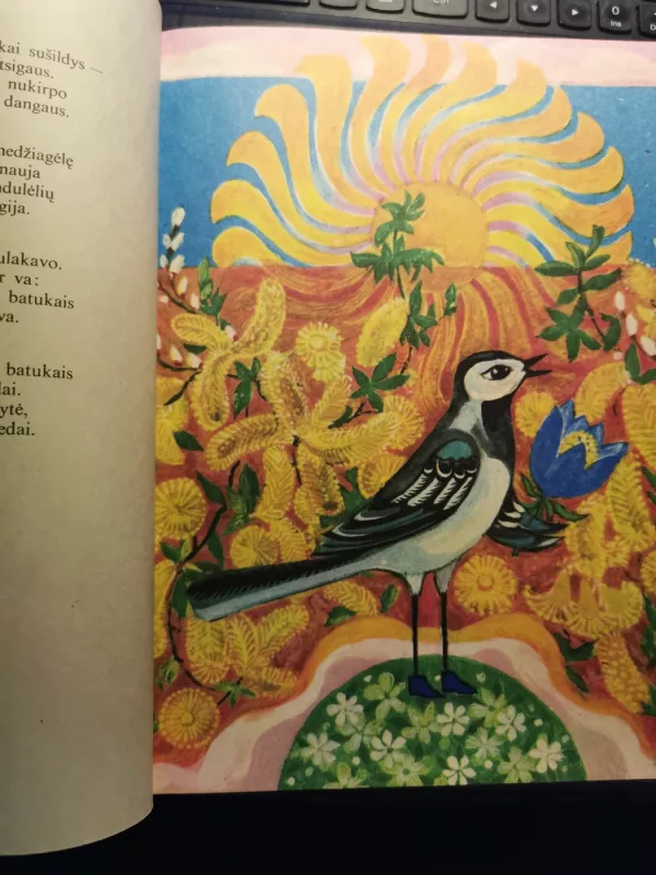 Mano volungėlė - Martynas Vainilaitis, knyga 5