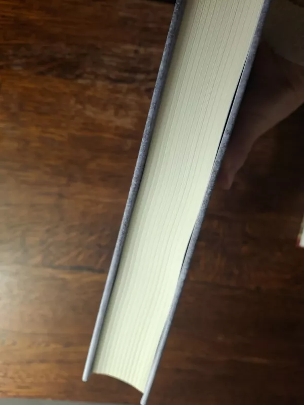 Pūga prie Mėmelio - Alfonsas Eidintas, knyga 4