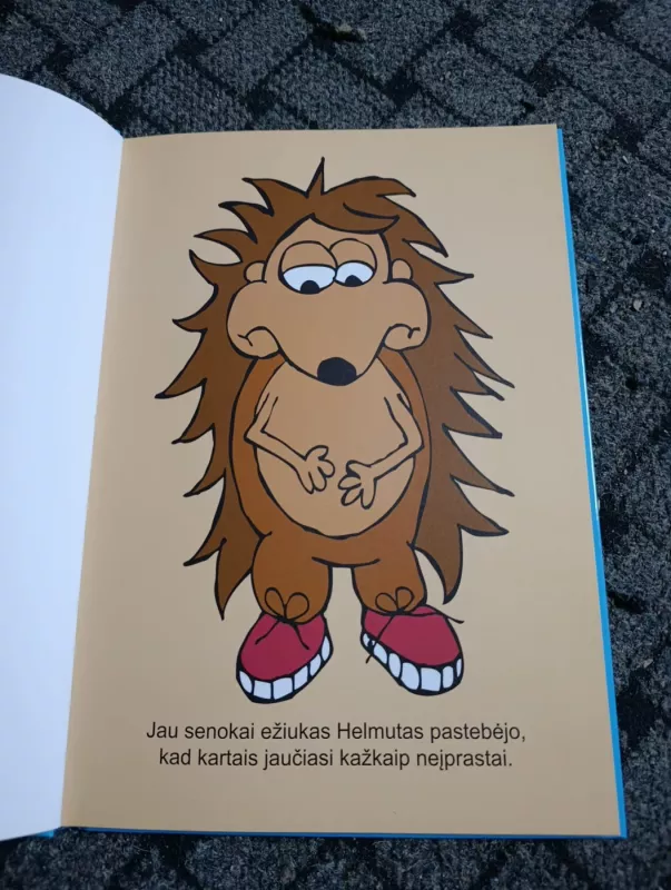 Sudie, drugeliai! Septyni būdai iškvėpti nerimą - Autorių grupė, knyga 5