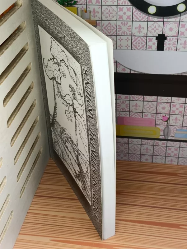 Prie susitikimų akmens - Valerijus Rudzinskas, knyga 5