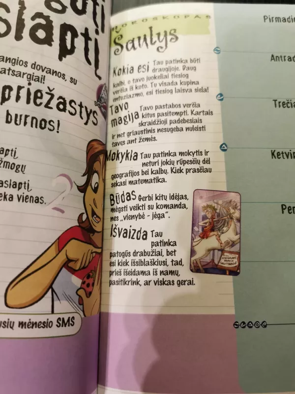 Witch. Magiškasis dienoraštis - Autorių Kolektyvas, knyga 5