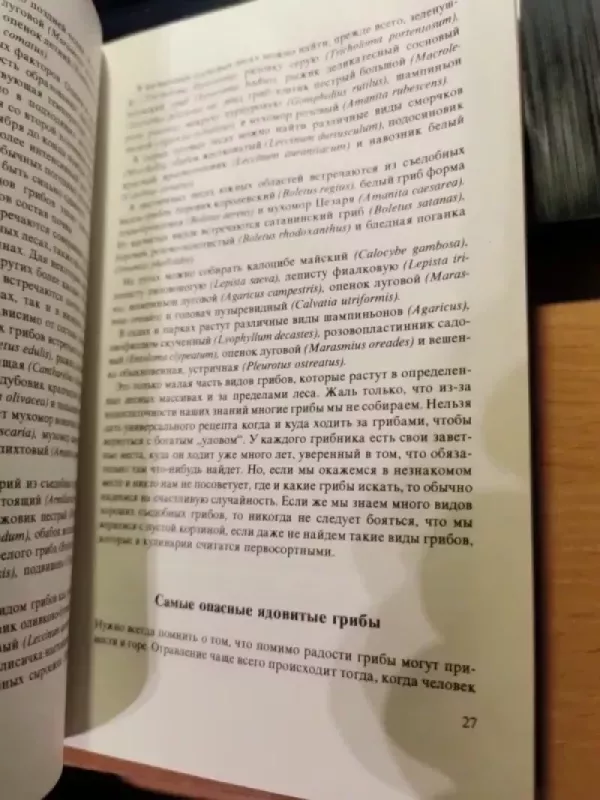 Griby - Aurel Dermek, knyga 4