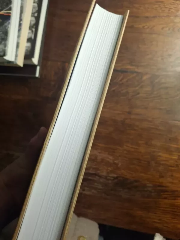 Šiapus ir anapus kordono - Darius Juodis, knyga 4