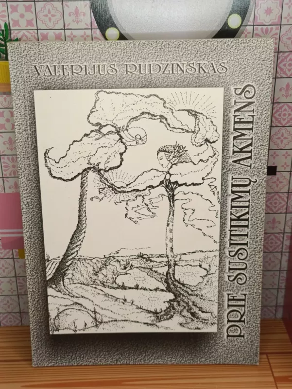 Prie susitikimų akmens - Valerijus Rudzinskas, knyga 2