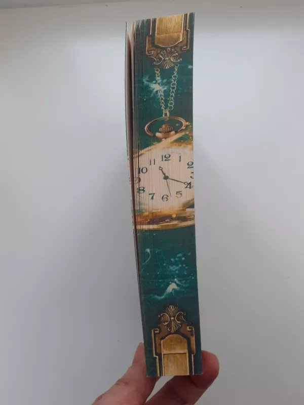 Anicor - Jenseits der Nebelbrücken - Jessica Wismar, knyga 4