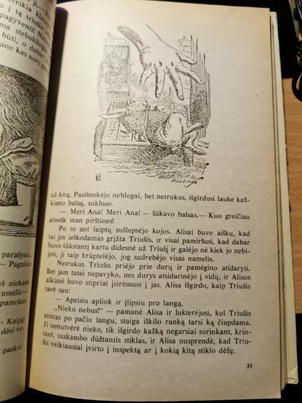 Alisa Stebuklų šalyje ir Veidrodžių karalystėje - Luisas Kerolis, knyga 4