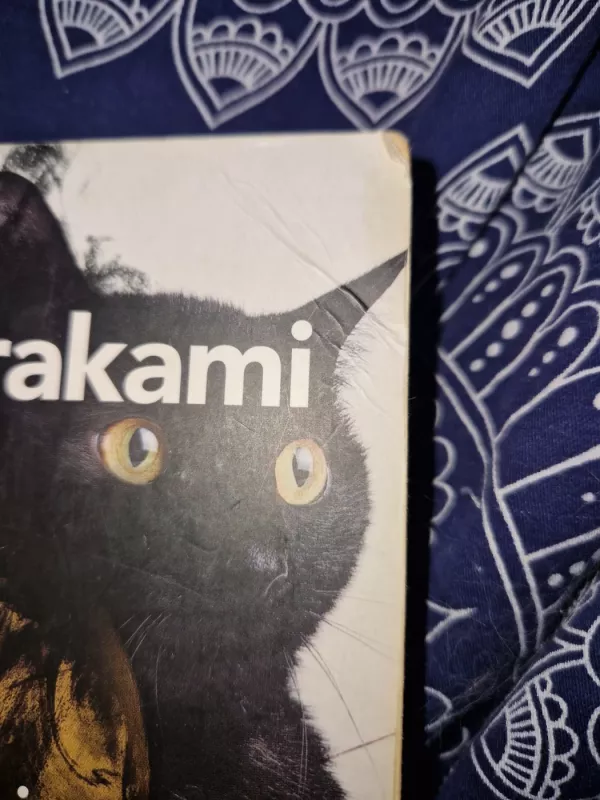 Kafka pakrantėje - Haruki Murakami, knyga 3
