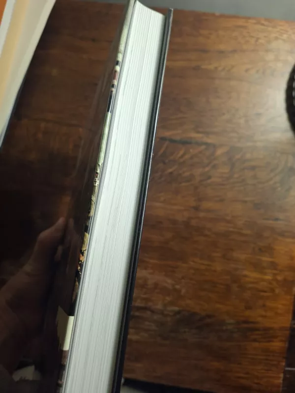 Iliustruota Antrojo pasaulinio karo istorija - Owen Booth, John Walton, knyga 4