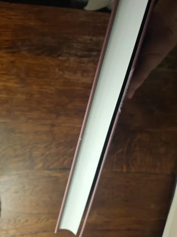 Vilniaus žemutinė pilis XIV a. - XIX a. pradžioje - Liudas Glemža, knyga 4