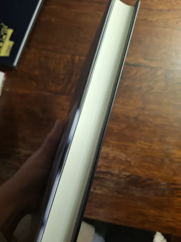 Pasižvalgymas po senojo Vilniaus mūrus - Morta Baužienė, knyga 4