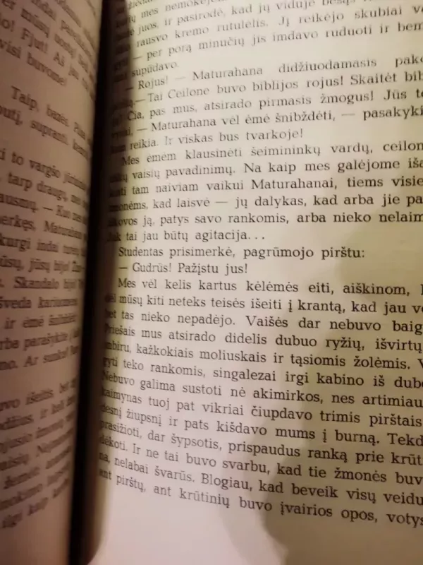 Perkūnas netrenkia į laivą - Algimantas Čekuolis, knyga 5