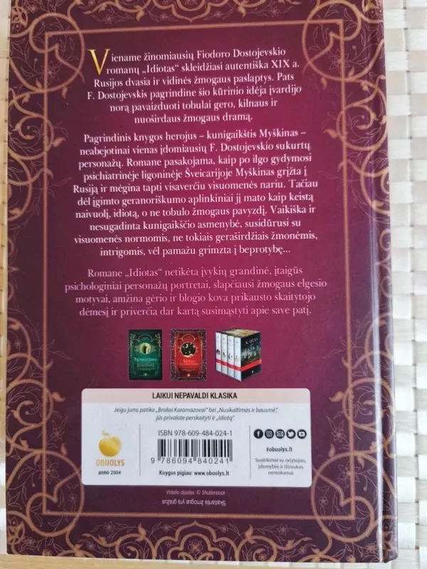 Idiotas - Fiodoras Dostojevskis, knyga 3