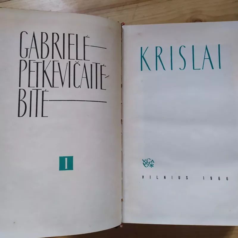 Gabrielė Petkevičaitė Bitė / Raštai I - VI t. - Gabrielė Petkevičaitė Bitė, knyga 5