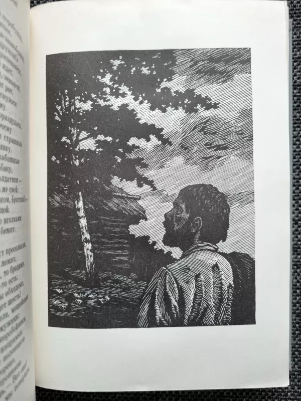 Stihotvorenija. Poèmy - Nikolaj Nekrasov, knyga 5