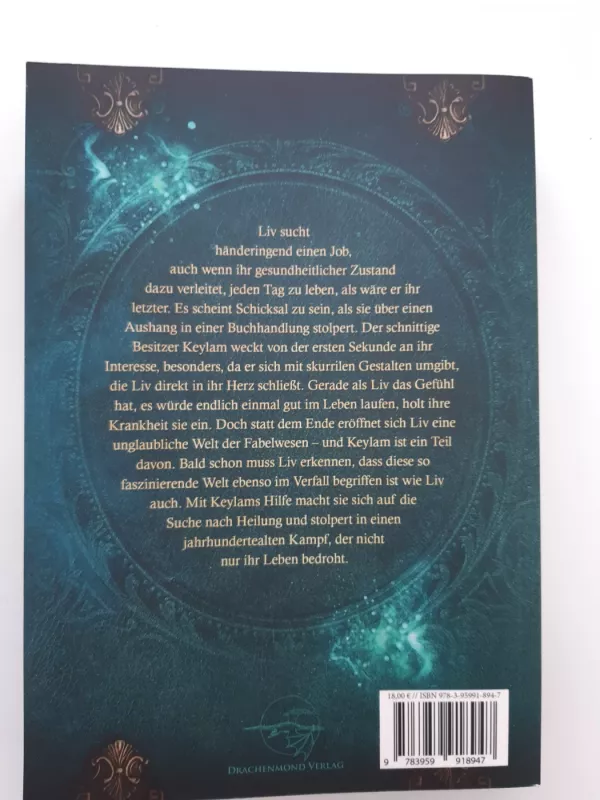 Anicor - Jenseits der Nebelbrücken - Jessica Wismar, knyga 3