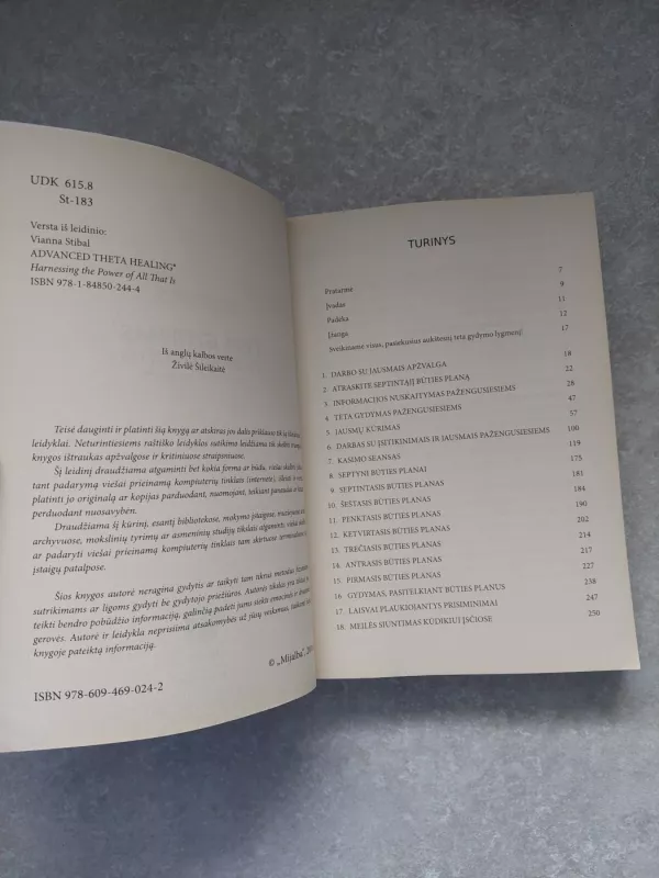 Teta gydymas pažengusiems - Vianna Stibal, knyga 6