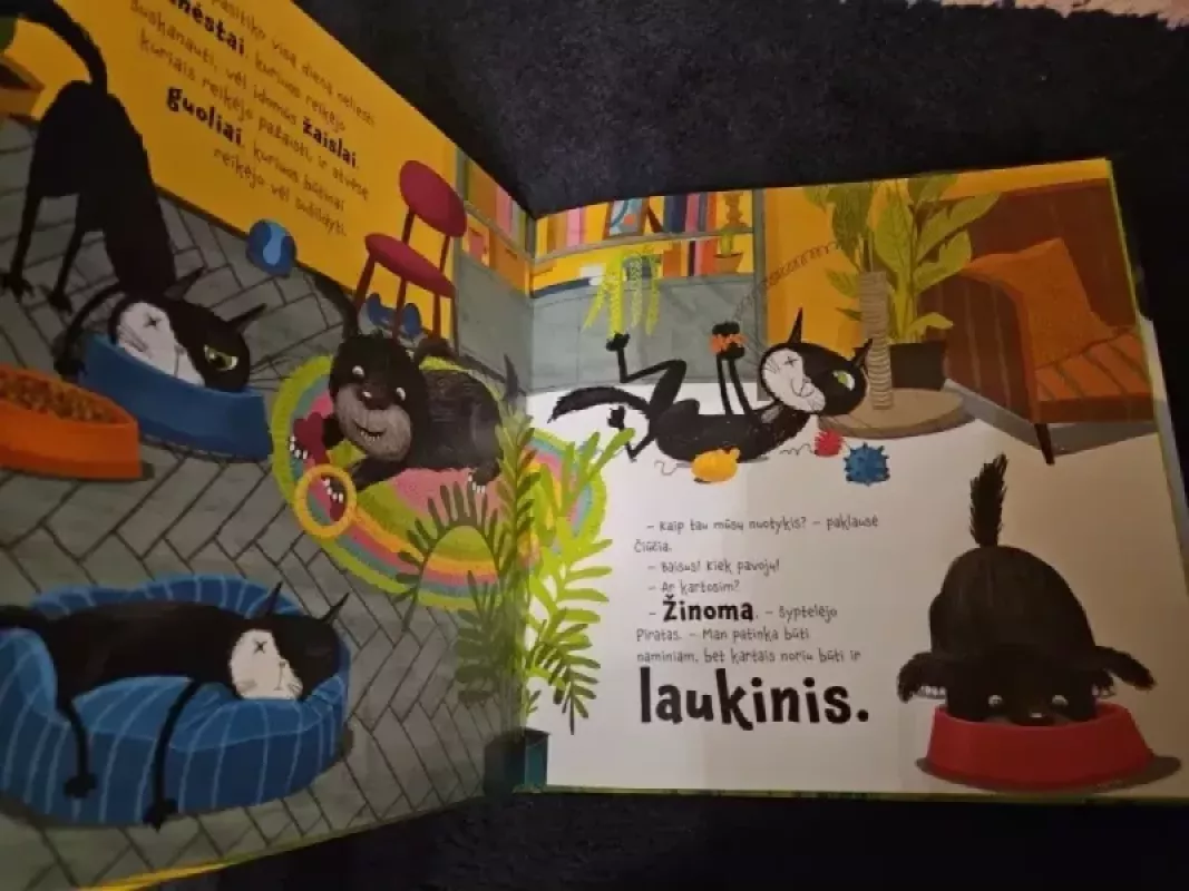 Kakė Makė ir Čiūčia Piratas - Benas Bėrantas, knyga 4