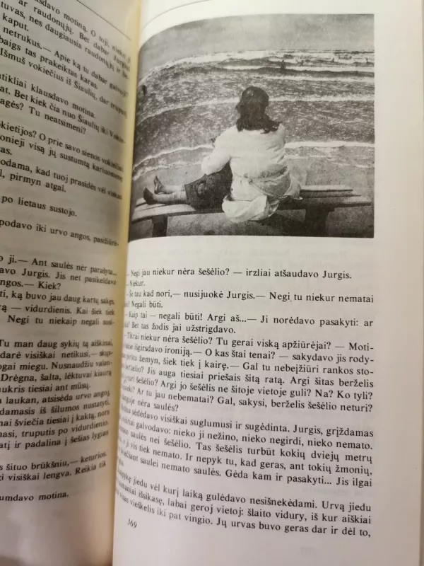 Esi tik viena - D. Venclovaitė, knyga 6