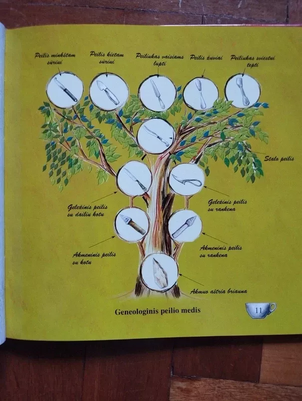 Šaukšto Šmaukšto Stalo akademija - Danguolė Kandrotienė, knyga 4