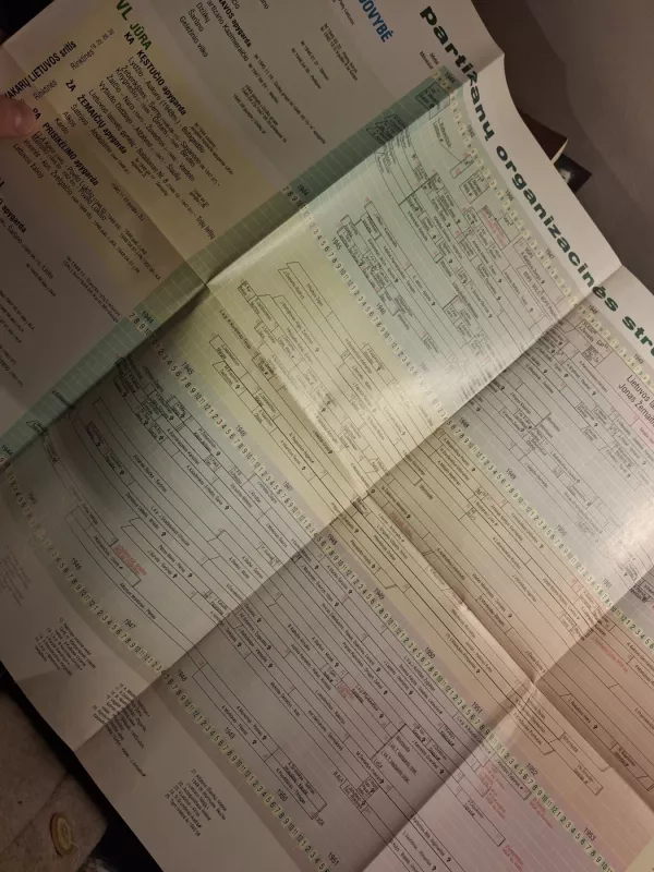 Lietuvos naikinimas ir tautos kova (1940-1998 m.) - Izidorius Ignatavičius, knyga 4