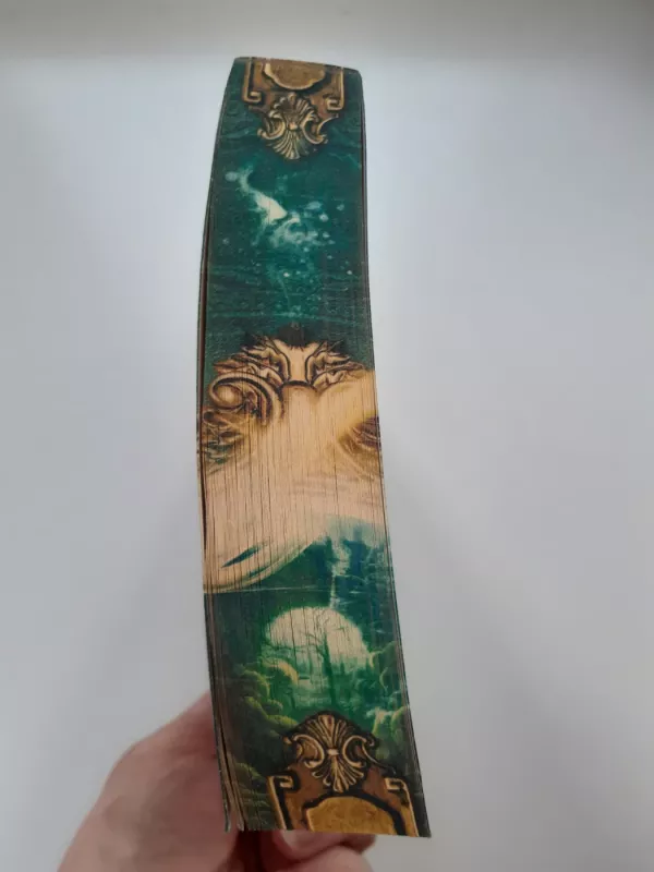 Anicor - Jenseits der Nebelbrücken - Jessica Wismar, knyga 5