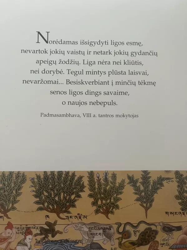 Tibeto gydymo menas - Ian A. Baker, knyga 3